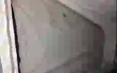 How To Clean A Moldy Tent ( prevent tent mold and mildew stains )