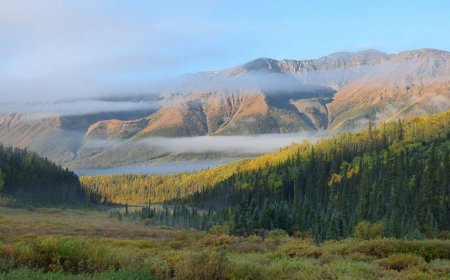 Travel the Stunning Stewart-Cassiar/Highway 37 in Northern BC