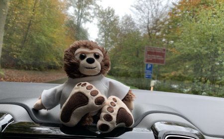 Yetti goes to Germany