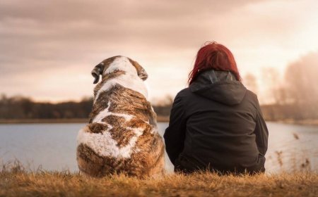 Top 5 Dog-Friendly Glamping Sites in California 2023