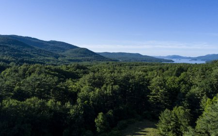 The Best Staycations in New York