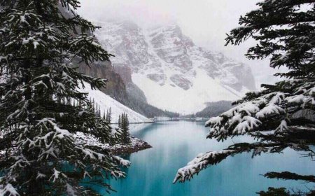 Unique Activities to do in Canada in the Winter, of 2023