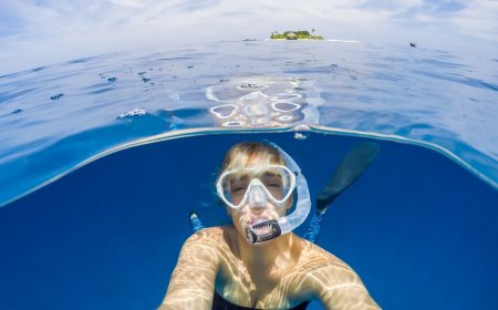 The Best Snorkeling in Brazil 2023 At The World’s Most Beautiful Beaches