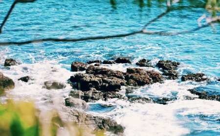 Top 10 Australia Getaway Rentals for the Best Glamping Adventure