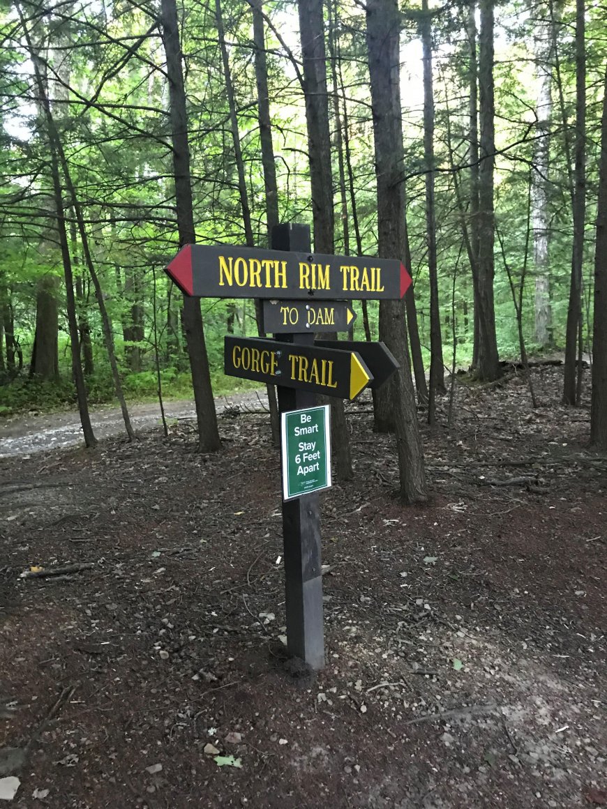 Friday Night Hikes