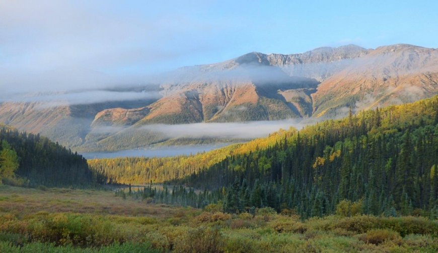 Travel the Stunning Stewart-Cassiar/Highway 37 in Northern BC