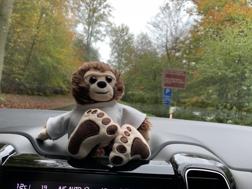 Yetti goes to Germany
