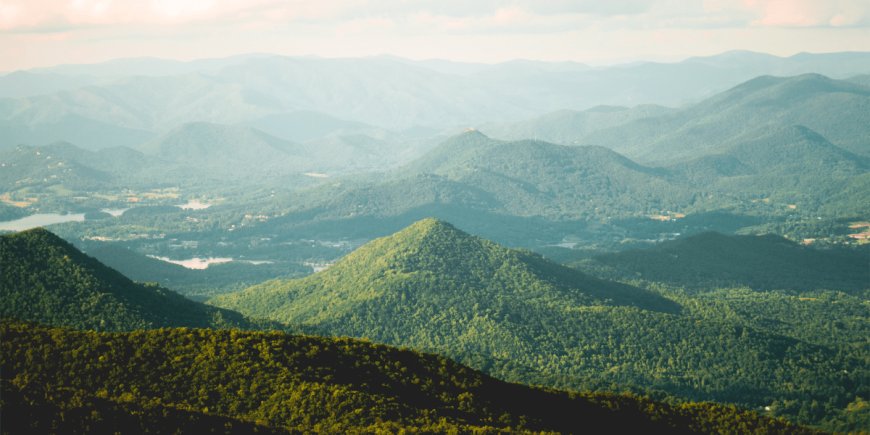 Top 5 Tree House Escapes in Georgia