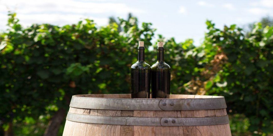 Go Glamping Near The Best Wineries, Upstate NY: 2023 Vacation Ideas