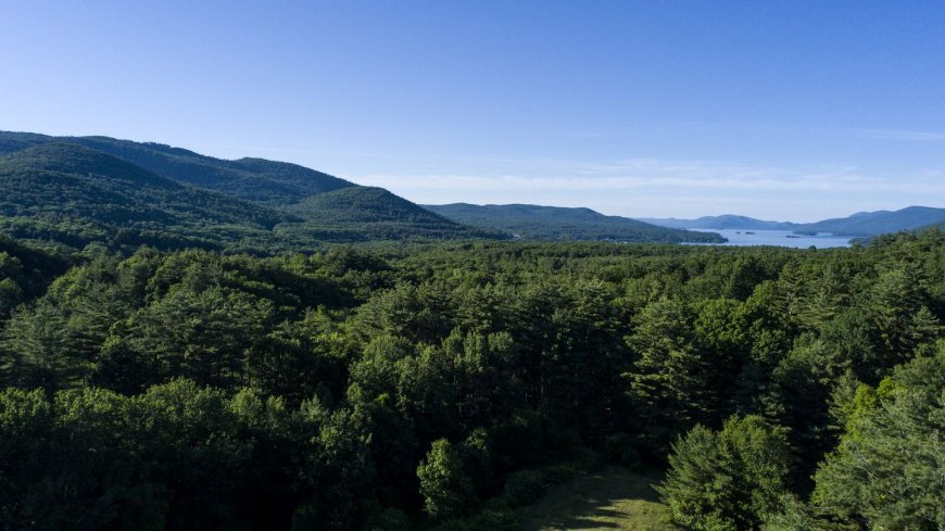 The Best Staycations in New York