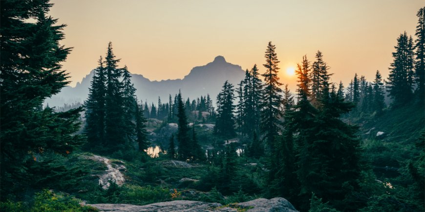 Top Weekend Getaways in Georgia, USA