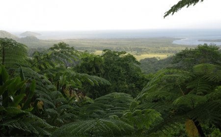 Glamping Rainforest Retreats Down Under