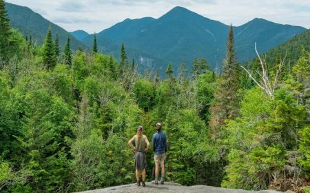 The Best National Forests to Visit on International Day of Forests, 2023