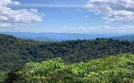 Best Places To Go Hiking: The Appalachian Trail 2023