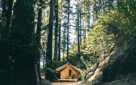 Top 5 Glamping Tents in Georgia for Outdoor Adventure