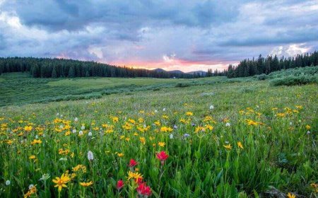 The Best Destinations for an Easter Weekend Getaway in the USA, 2023