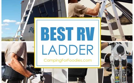 Best RV Ladders For Big Rigs & Small Campers (VIDEO)