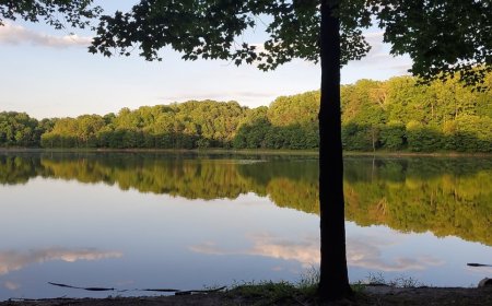 The Best Family-Friendly Cabin Rentals, Maryland