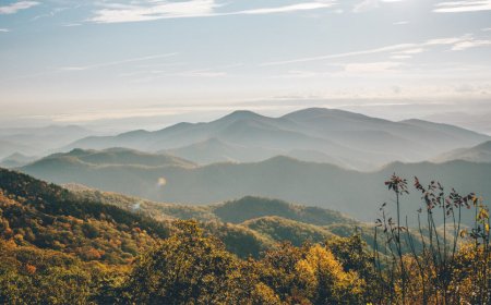 Top Rentals for a Tar Heel NC Getaway, in 2023