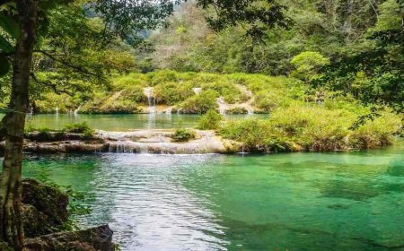 What Is Eco-Friendly Tourism? In 2023: Save The Planet