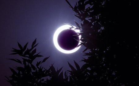 2023 Solar Eclipse Will Be Visible From More Than 20 National Parks