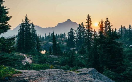 Unique Family Vacations: Treehouses for Glamping with Kids in 2023