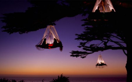 11 Weird and Wonderful Tents
