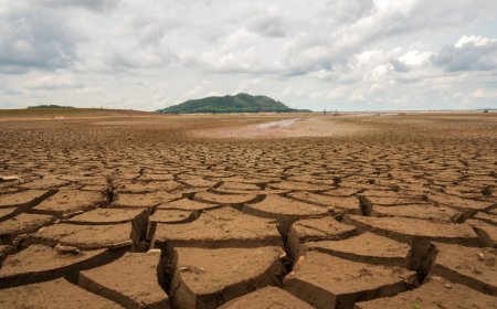 How Bear Grylls Finds Water in the Desert