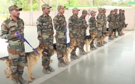 India is Training German Shepherds to Protect Endangered Cheetahs