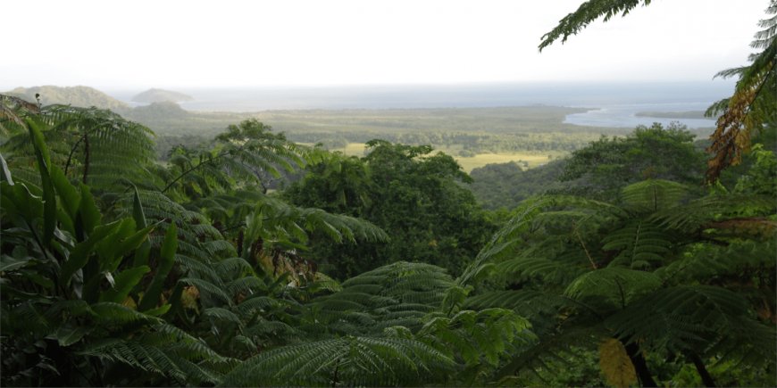 Glamping Rainforest Retreats Down Under