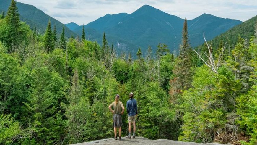 The Best National Forests to Visit on International Day of Forests, 2023