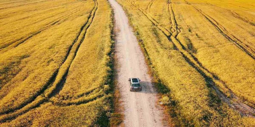 East Coast Road Trip: Get Your Road Trip Planner for Spring Break 2023