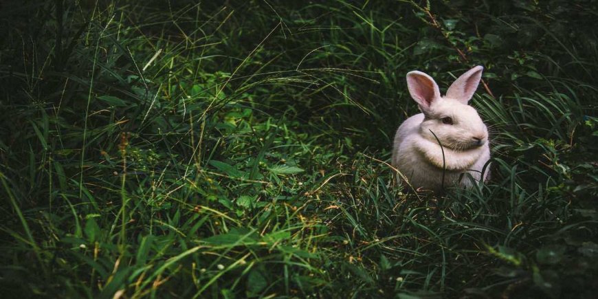 Easter Getaways and Best Places To Visit In The USA For Easter Weekend 2023