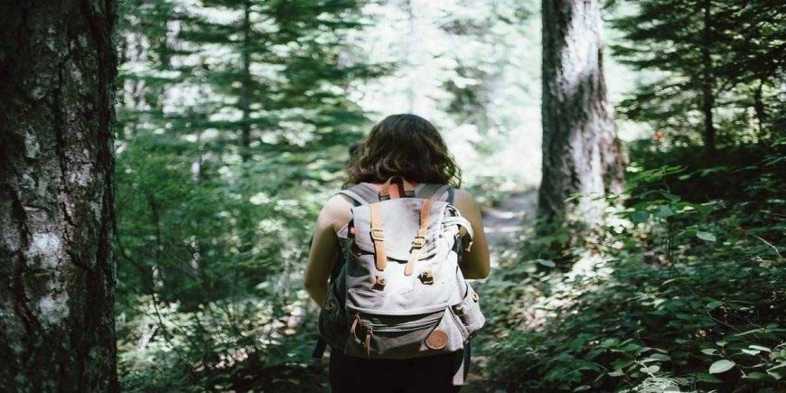 Best Forest Holidays in the UK