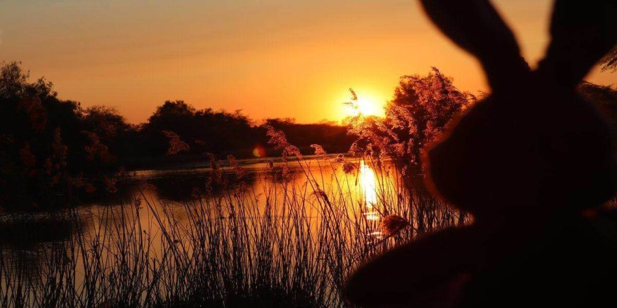 Best Easter Vacations: Unique Glamping Rentals For April Getaways in 2023