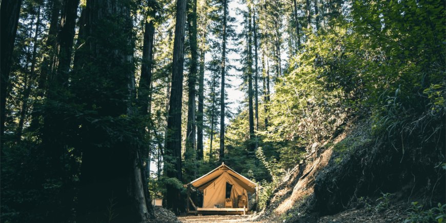 Top 5 Glamping Tents in Georgia for Outdoor Adventure