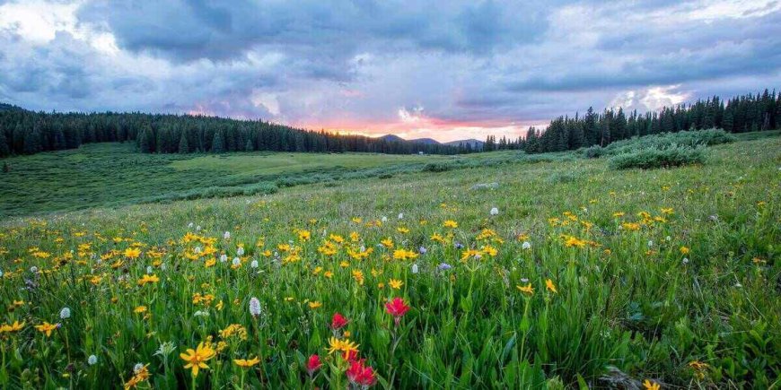 The Best Destinations for an Easter Weekend Getaway in the USA, 2023