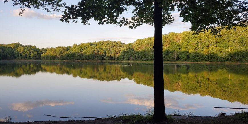 The Best Family-Friendly Cabin Rentals, Maryland