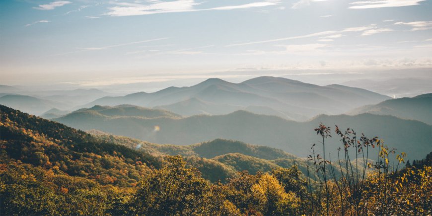 Top Rentals for a Tar Heel NC Getaway, in 2023