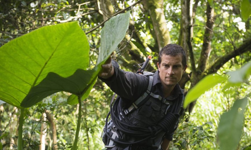 How Bear Grylls Navigates When Lost in the Jungle