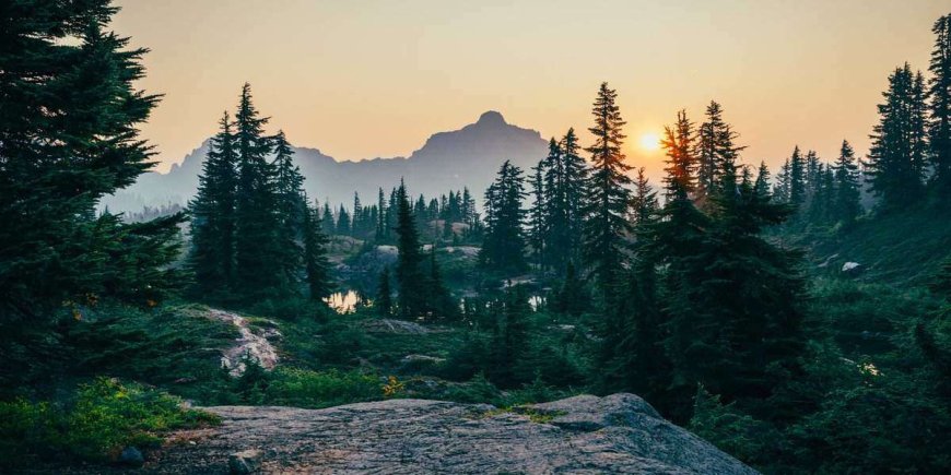 Unique Family Vacations: Treehouses for Glamping with Kids in 2023
