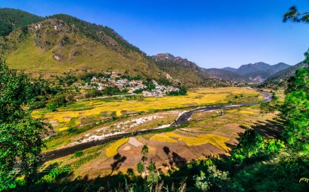 Could a Birdwatching Festival Really Save this Himalayan Town?