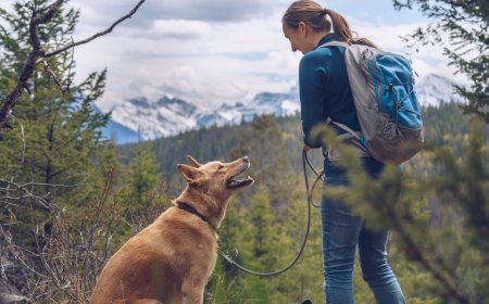 Hiking with Dogs: Tips, Tricks and Breeds That Hike Best