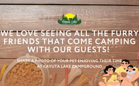 Hello campers!
We love seeing all the furry friends that come camping with our guests! Share a photo of your pet enjoying their time at Kayuta Lake Campground

Book online: http://www.kayuta.com
#kayutalakecampground #camping #Kayuta #campfire #day #suggestions #37dayscountdown