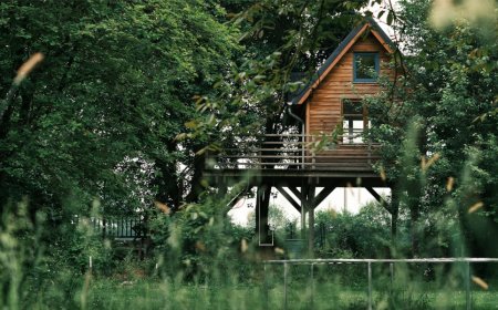 Top 5 treehouse rentals for weekend getaways, North Carolina