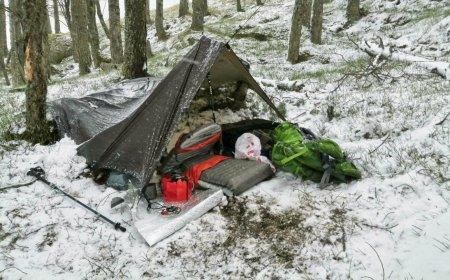 Lost In The Woods Without A Tent? Here’s What To Do, According To Megan Hine