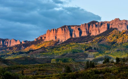 Biden’s New Rule Could Change the Game for Conservation in the U.S.