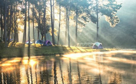 How To Never Pay For Camping Again