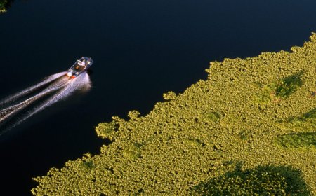 10 Best Places To Catch Bass