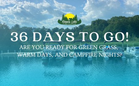 kayutalakecampground 36 days to go! Are you ready for green grass, warm days, and campfire nights?✨

Book online: http://www.kayuta.com
#kayutalakecampground #camping #Kayuta
#campfire #day #favorite #campingday
#36dayscountdown